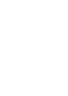 Florida Blinds logo for custom blinds, shutters and roller shades for windows and doors